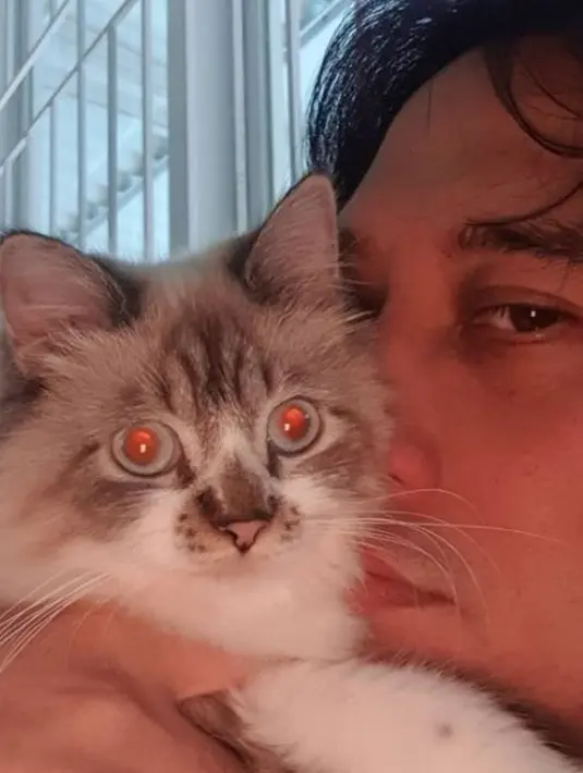 Begitu sayangnya Tengku Firmansyah terhadap Nina, kucing miliknya. Keduanya berpose bersama. (Foto: Instagram/@tengku_firmansyah)