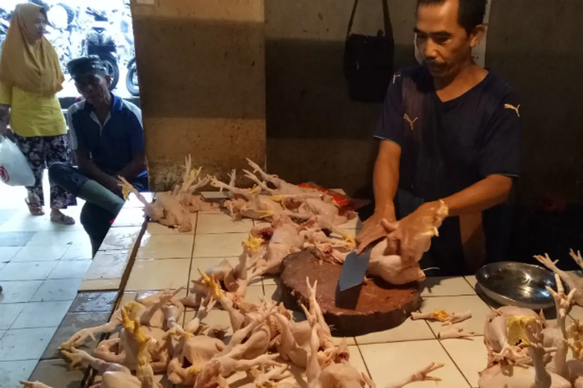 Pedagang Ayam