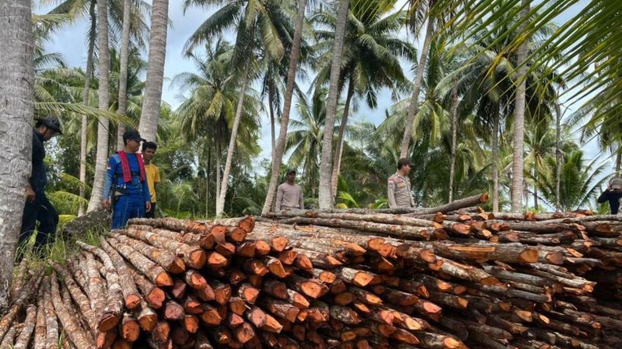 Polres Lingga Tetapkan Enam Tersangka Pembalakan Kayu Bakau Ilegal