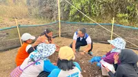 Warga Transmigrasi Sambas Sulap Lahan Tandus Jadi Kebun Sayur