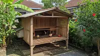 9 Desain Kandang Ayam Agar Kotoran Tidak Menumpuk, Bersih Bebas Bau