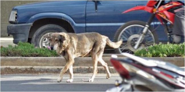 Huachito Selalu Datang ke Tempat Ini (c)merdeka.com/TN.com