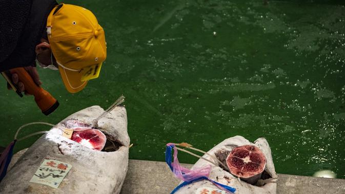 Seorang tengkulak memeriksa tuna beku saat lelang di Pasar Toyosu, Tokyo, Jepang, 5 Januari 2021. Untuk lelang tahun ini, para tengkulak diwajibkan menggunakan masker dan membersihkan tangan saat memeriksa tekstur tuna. (Philip FONG/AFP)