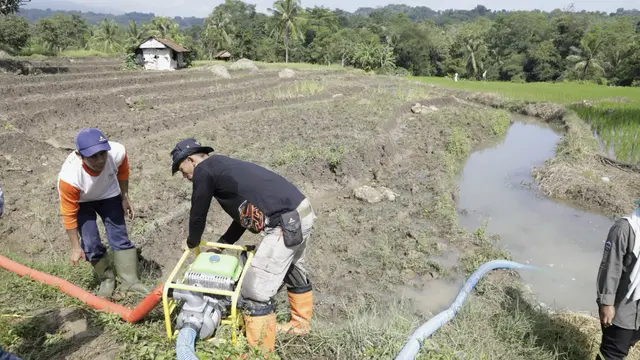 Kementan