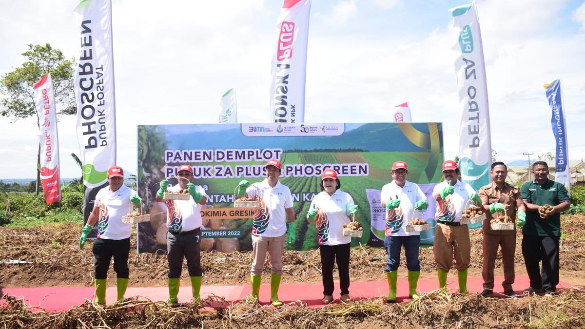 Tanpa Subsidi, Pupuk Indonesia Berhasil Tingkatkan Produksi Kentang Petani Sumut - Vimarsana News