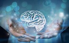 Cara Mencegah Alzheimer di Usia Muda, Terapkan Segera