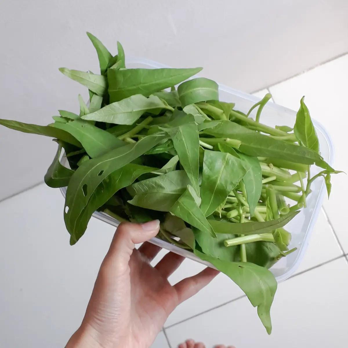 Cara Memasak Kangkung supaya Tidak Hitam