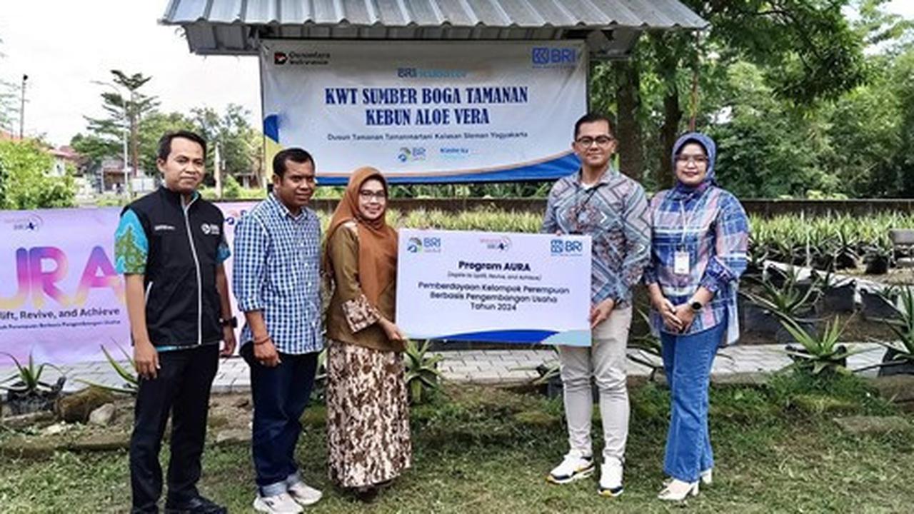 KWT Sumber Boga Tamanan Tumbuh Bersama Dukungan BRI, Perempuan Sleman Berdaya Sukses Budidayakan Lidah Buaya