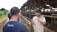 Jelang Iduladha, PDHI dan Human Initiative Pastikan Hewan Kurban Sehat Bebas Penyakit