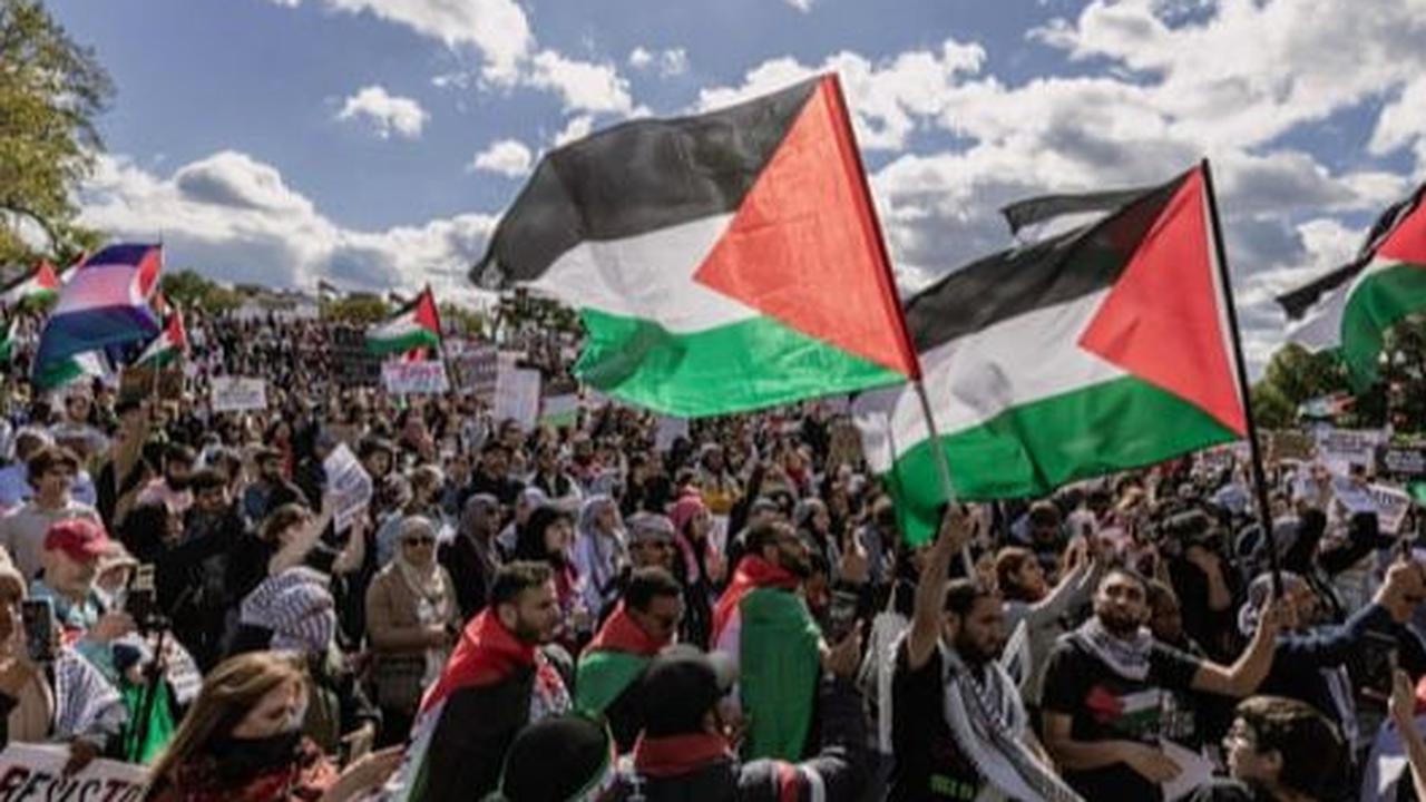 Tapi, Free Palestine artinya apa? Apa makna yang terkandung di balik ungkapan ini? Berikut adalah penjelasan lengkapnya.