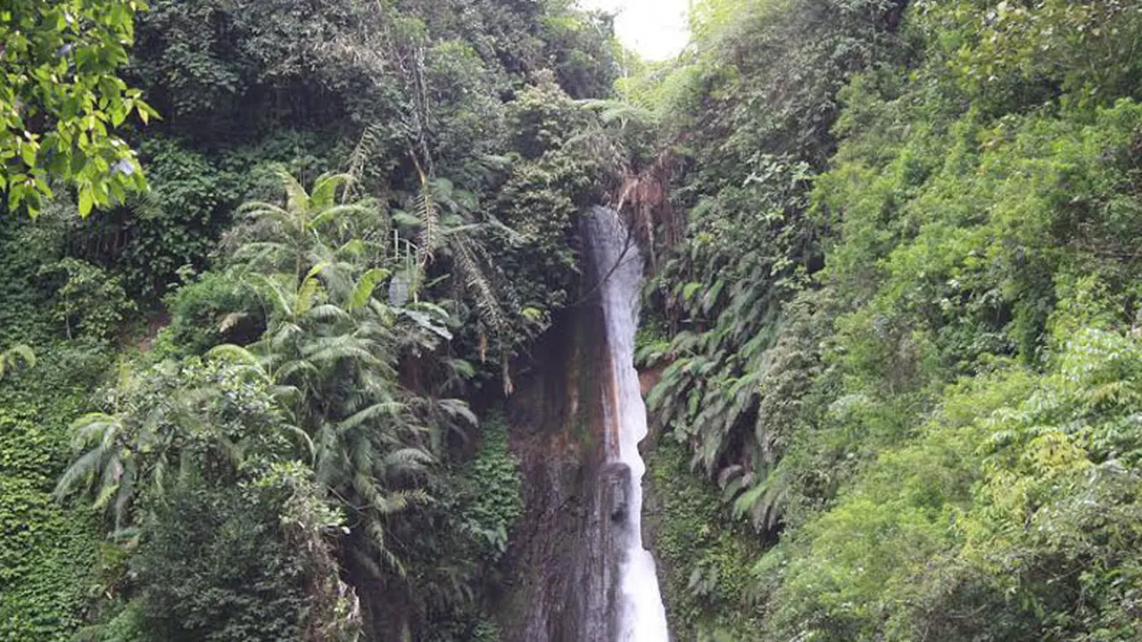 Curug Ciismun, Pesona Alami Air Terjun di Sindang Laya