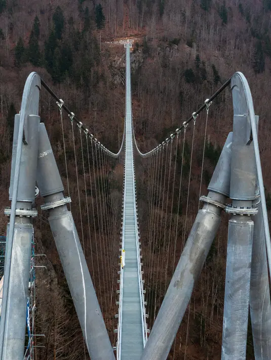 Foto udara yang diambil pada 3 Maret 2023 menunjukkan jembatan gantung yang sedang dibangun, menghadap ke air terjun di Todtnau, barat daya Jerman. Pembangunan jembatan sepanjang 450 meter yang digantung dengan ketinggian hingga 120 meter ini diharapkan selesai pada Mei 2023 dan menjadi daya tarik wisata utama di Black Forest. (PATRICK HERTZOG / AFP)