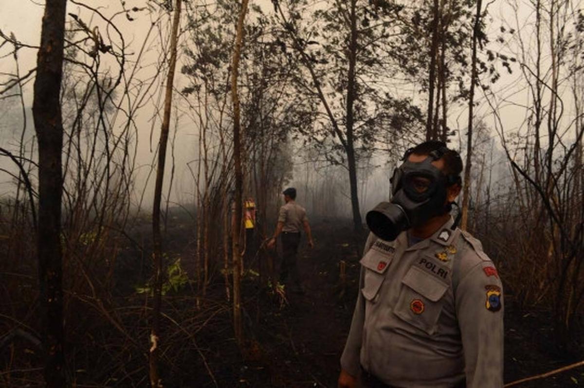 Aksi Jokowi terus pantau pemadaman lahan gambut di Kalimantan