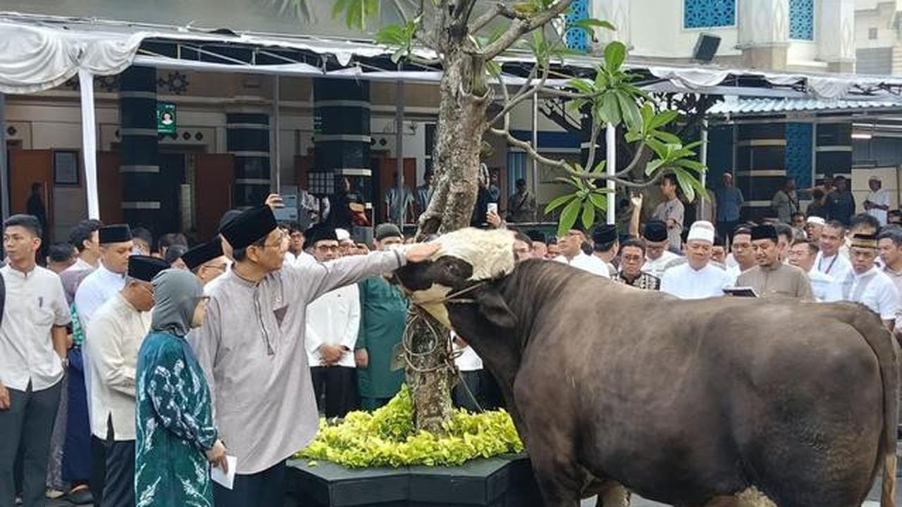 Cerita Warga Pilih Hewan Kurban Lebih Kecil saat Idul Adha 2026