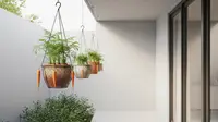 7 Ide Kebun Wortel Gantung di Teras Rumah Minimalis, Solusi Hijau Lahan Sempit