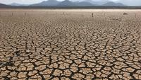 Ilustrasi musim kemarau./copyright pexels.com/kiptoo addi