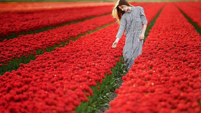 Ingin Liburan Musim Semi? Intip 13 Destinasi Seru Berikut Ini