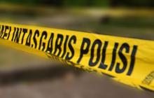 Viral Pemuda Kendarai Zenix Lawan Arah di BSD, Ditegur Malah Nyolot & Tetap Minta Jalan, Giliran Disamperin Kabur