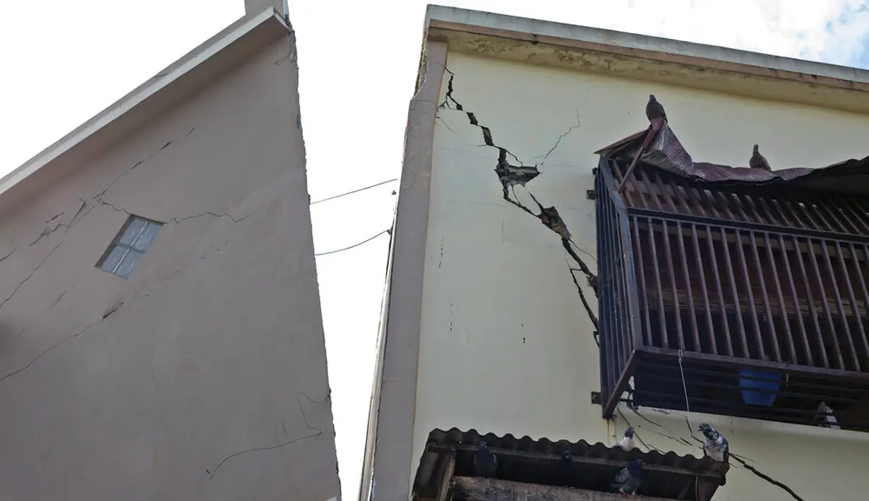 Burung merpati hinggap pada dinding rumah yang rusak akibat gempa di Mamuju, Sulawesi Barat, Indonesia, Senin (18/1/2021). Sebanyak 679 orang mengalami luka ringan akibat gempa di Kabupaten Majene dan Mamuju. (AP Photo/Yusuf Wahil)