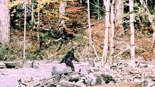 Bigfoot