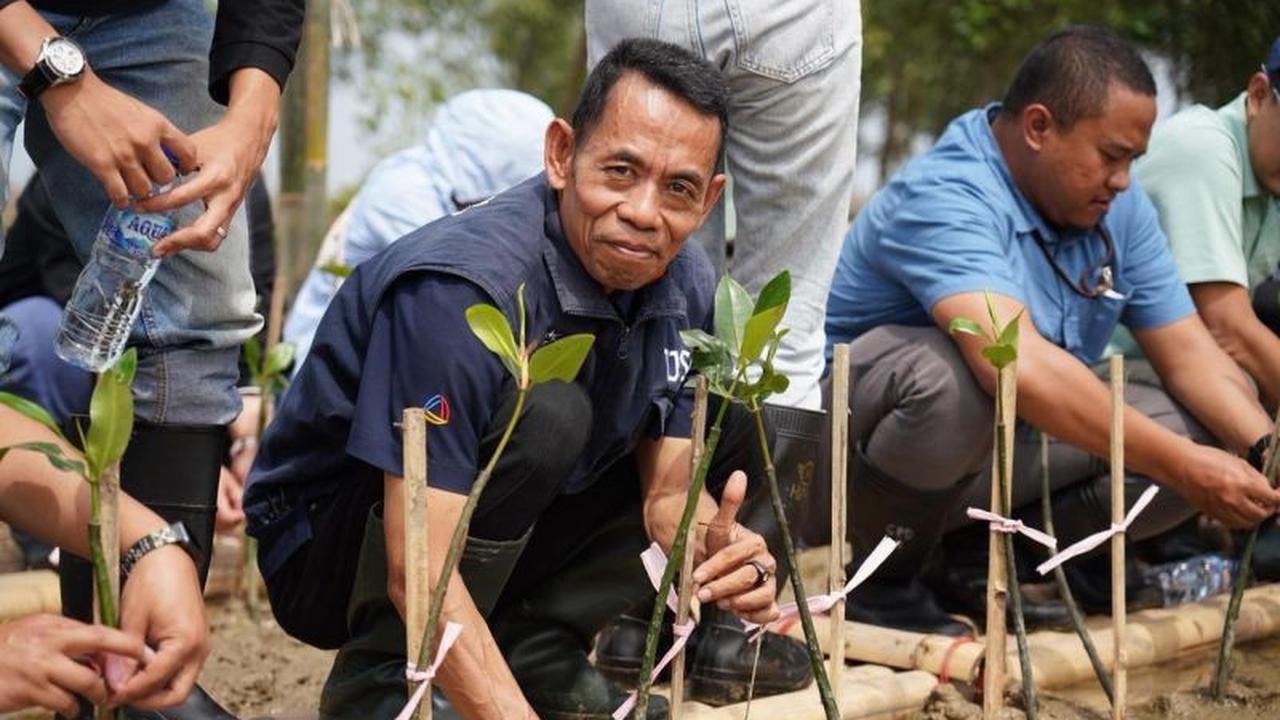 Bio Farma Gelar TJSL, Tanam 5.000 Mangrove di Karawang untuk Lingkungan dan Kesehatan