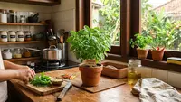10 Tanaman Aromatic Mini yang Cocok untuk Dapur, Teras, hingga Meja Kerja