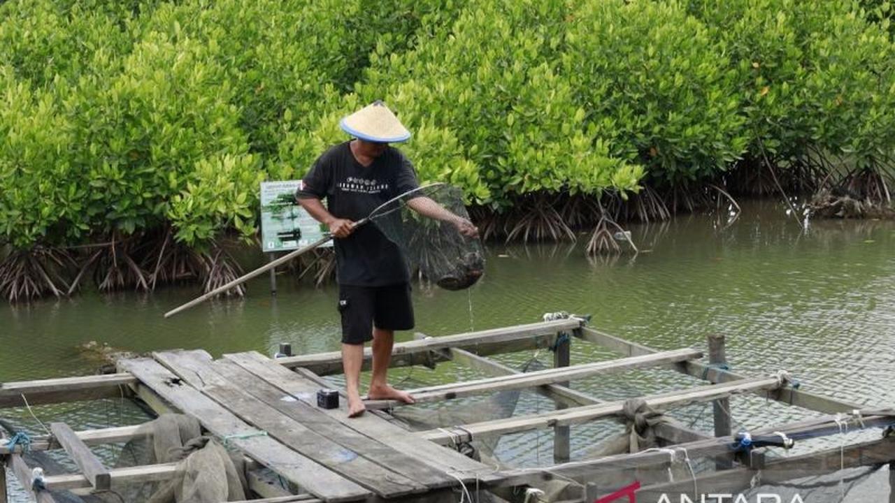 Pakar Unmul Gagas Sekolah Lapang untuk Jaga Iklim Pesisir Kaltim dan Tingkatkan Produktivitas Tambak Berkelanjutan