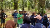 Tingkatkan Produktivitas Sawit demi B50, Petani Bisa Manfaatkan Perkasa