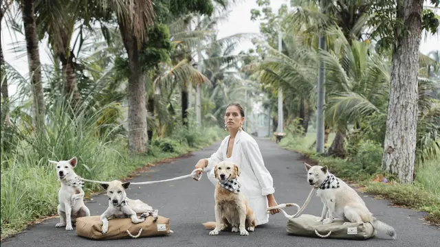 Kali Dogwear