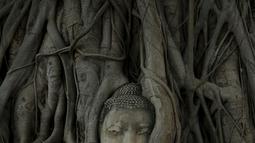 Wajah patung Buddha terlihat di antara akar pohon di kuil Wat Mahathat, Ayutthaya, Thailand Ayutthaya (25/12/2015). Patung kepala Buddha ini telah ada sejak Kerajaan Ayutthaya runtuh akhir abad ke-18. (REUTERS/Jorge Silva)
