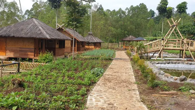Deretan bangunan tradisional masyarakat desa yang terbuat dari bilik beratapkan ijuk, nampak rapih mengelilingi kawasan Kampung Bareto, Cisurupan, Garut, Jawa Barat. (Liputan6.com/Jayadi Supriadin)