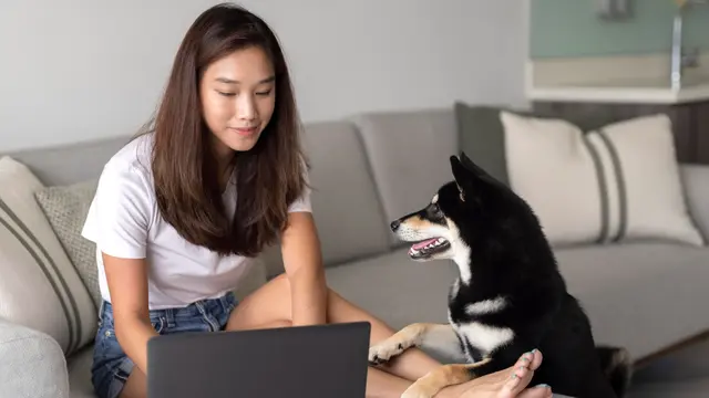 Dog