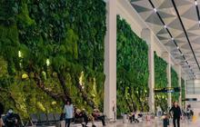 Bandara Soetta Raih Peringkat ke-22 sebagai Bandara Terbaik Dunia 2026