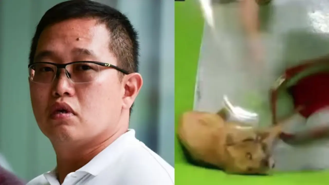 Ng Zhaohui Matthew di pengadilan Singapura  (Images: CNA/Syamil Sapari, Facebook/Chained Dog Awareness in Singapore)