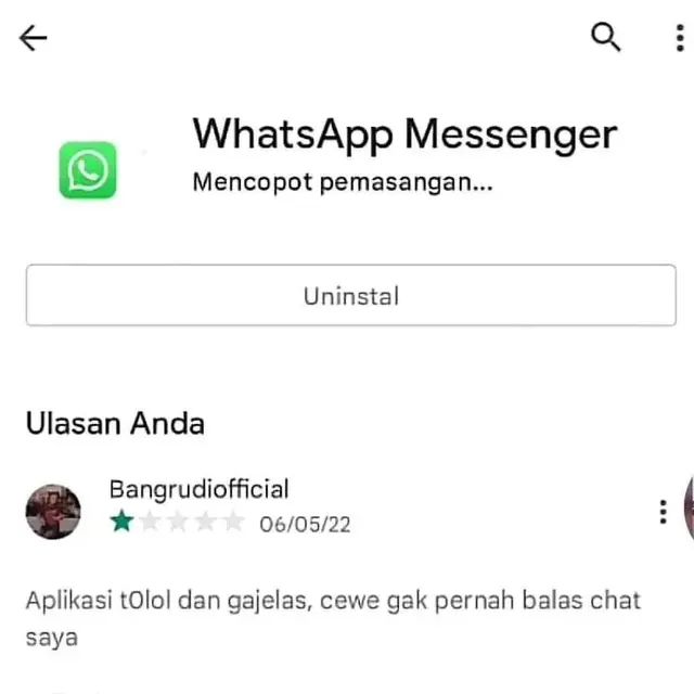 6 Komentar Orang Ngadu Soal Pasangannya di Play Store Ini Bikin Tepuk Jidat