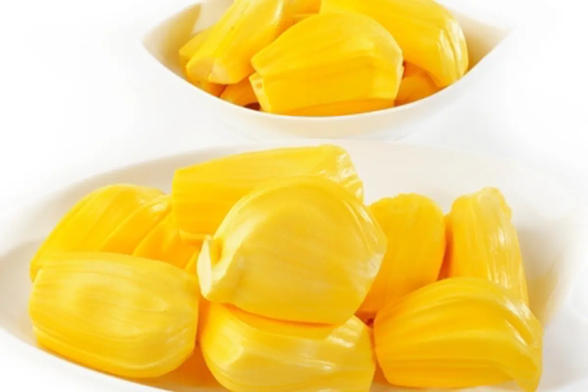 Foto: copyright shutterstock.com