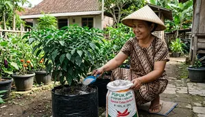 12 Cara Mengatasi Cabai yang Banyak Daun Tetapi Tidak Berbuah, Perhatikan Nutrisi