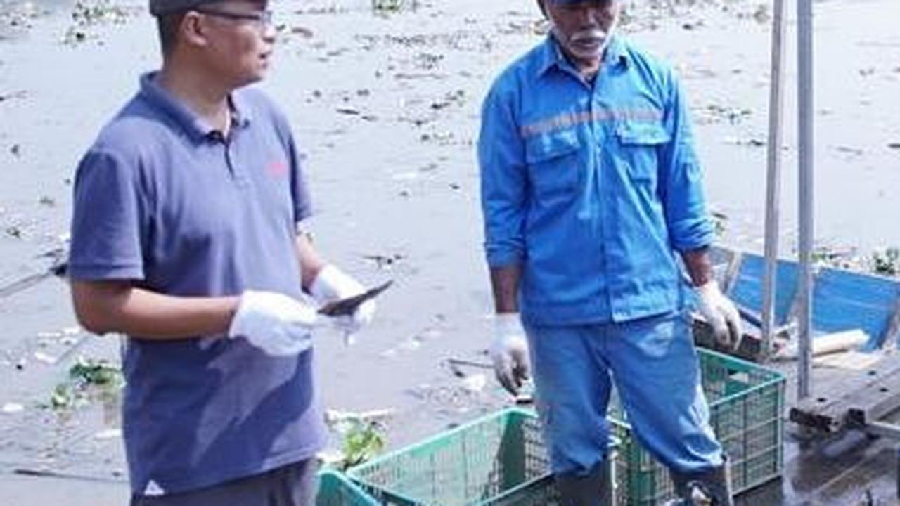 "Dari pendapatan itu, kita kembalikan ke masyarakat. Contohnya sekolah berbayar sampah dan klinik pengobatan," katanya.<br>