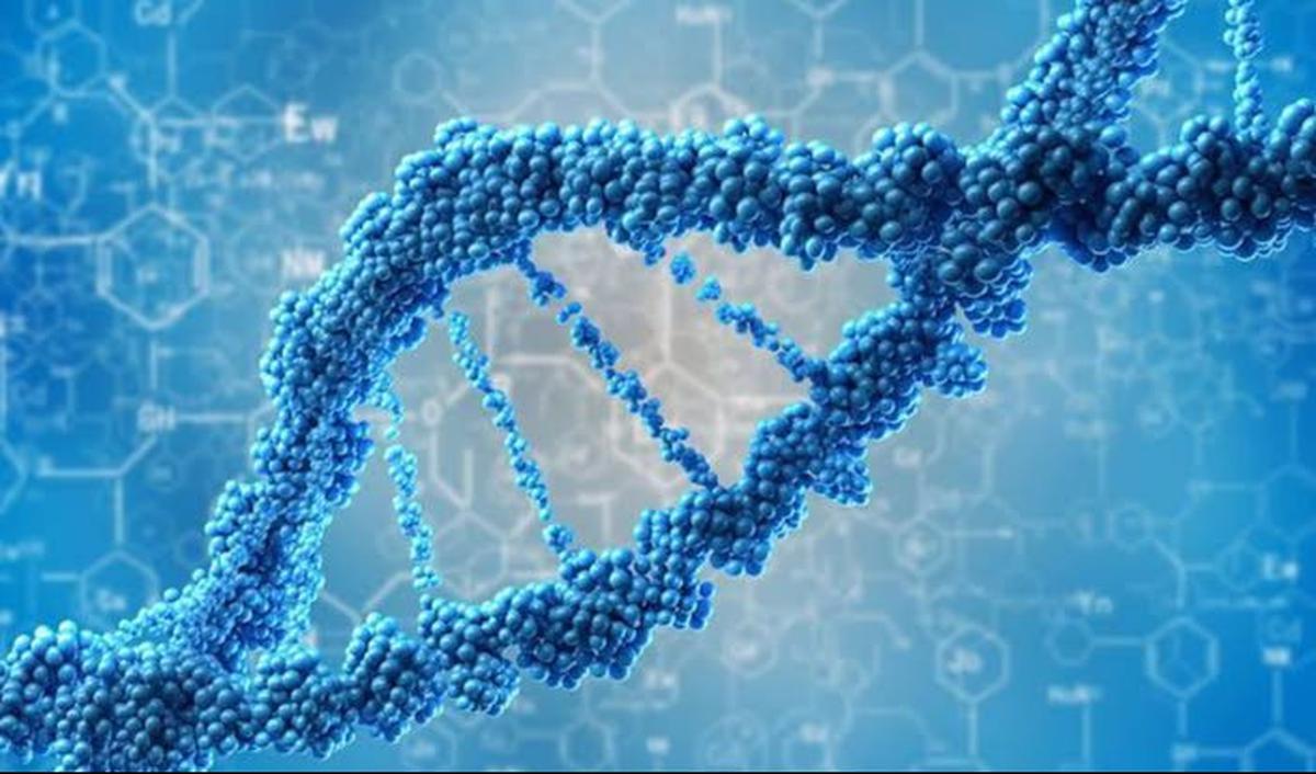 <b>Jenis-Jenis Bioteknologi</b><br>