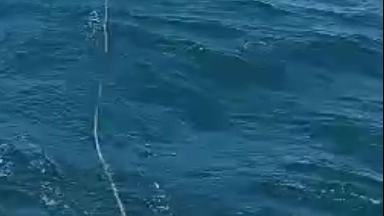 Korban Terseret Ombak Pantai Panjang Malang Ditemukan Tewas di Tulungagung, Dua Masih Hilang