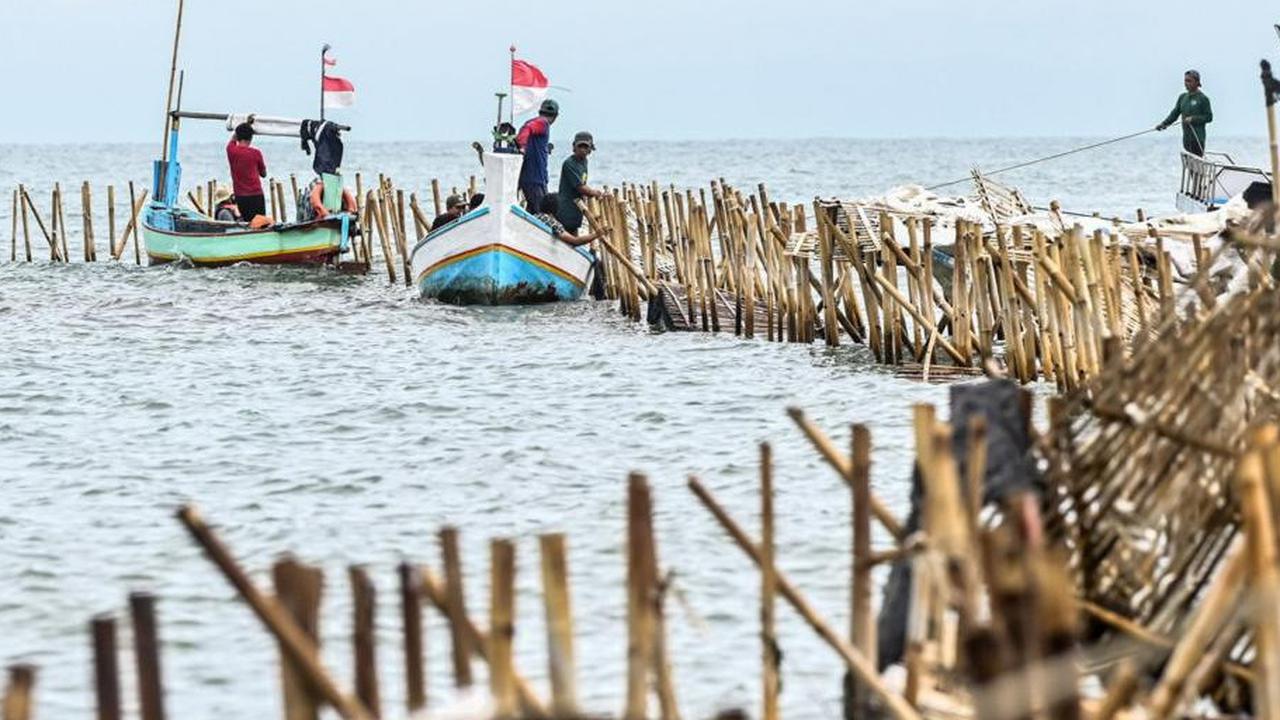 Pemilik Pagar Laut di Tangerang Terungkap, Dua Perusahaan Ini Pegang Sertifikat HGB dan SHM