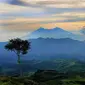 Gunung Halimun termasuk dalam wilayah Taman Nasional Gunung Halimun-Salak (TNGHS). (Dok: Instagram @ramzmilano)