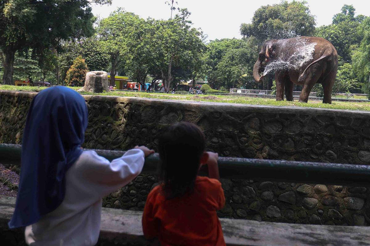 FOTO: Peringatan Maulid Nabi, Ragunan Diserbu Pengunjung