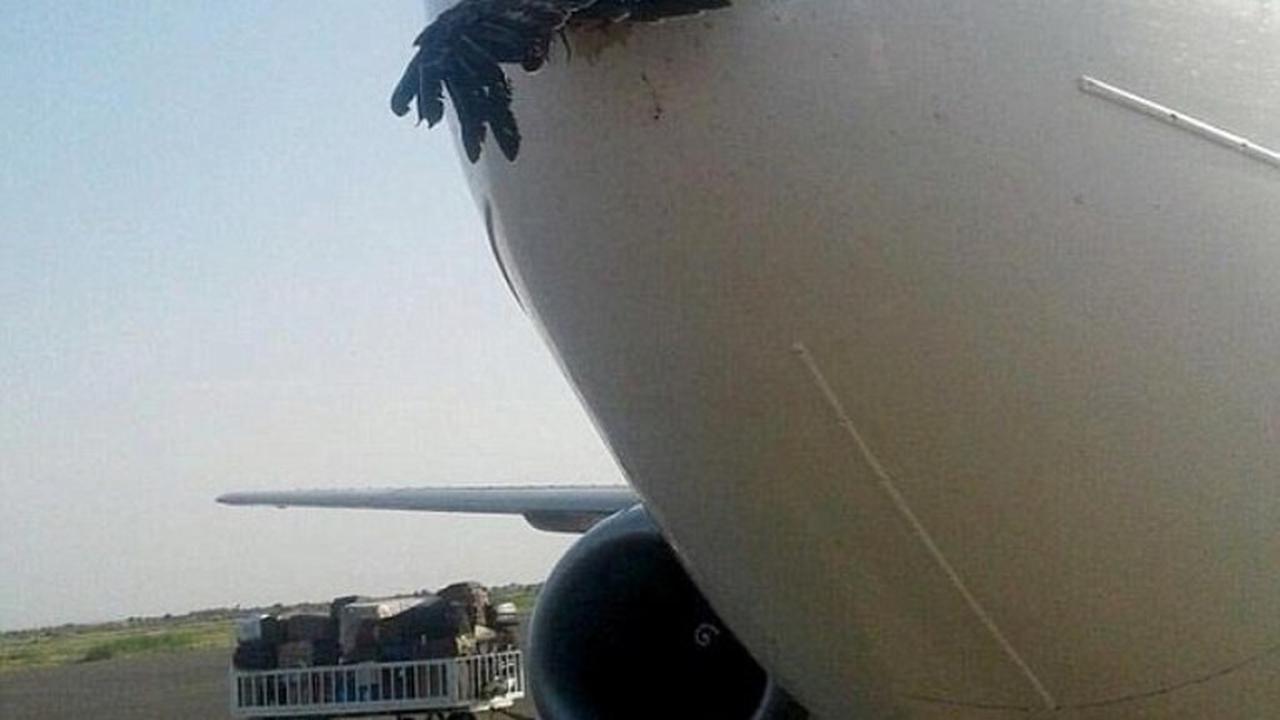 Tabrak Pesawat, Elang Buat Tarco Air Mendarat Darurat di Sudan