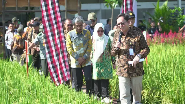 Perbenihan di DI Yogyakarta
