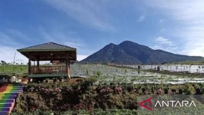 50 Pemandu Gunung Masurai Merangin Kantongi Sertifikat BNSP, Jamin Keselamatan Pendaki