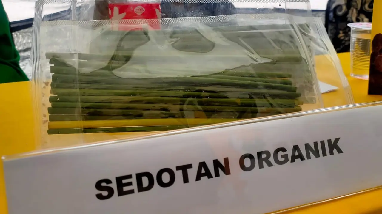 Membangkitkan Lagi Kerajinan Purun Asal Banyuasin Lewat Sedotan Organik