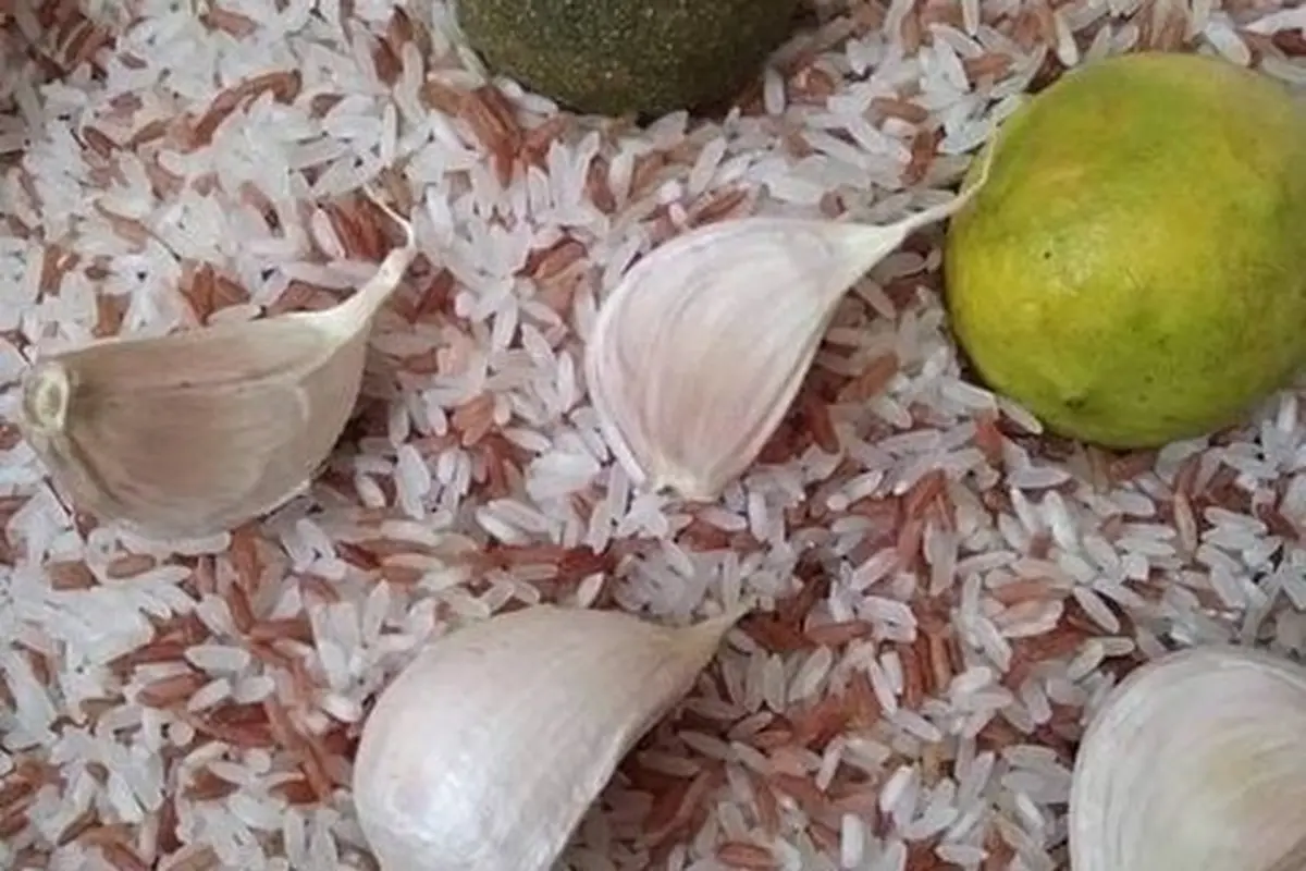 Tanpa Cabai atau Cuka, Begini Cara Hilangkan Kutu pada Beras Secara Efektif