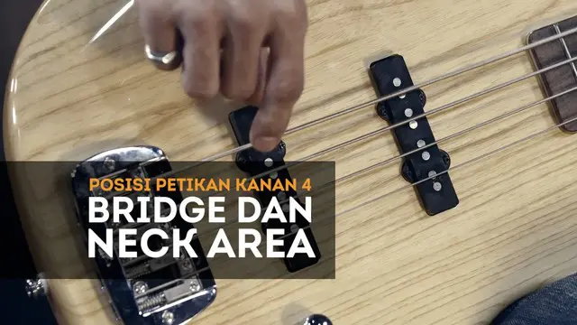 Teknik petikan lanjutan ini Mengenal Bridge Area dan Neck Area.