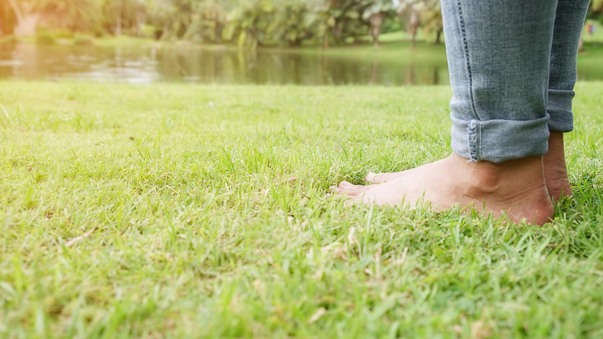 7 Manfaat Grounding dalam Kehidupan, Rahasia Kuno untuk Kesehatan Optimal